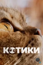 Котики / Cat Daddies (2022) WEB-DL