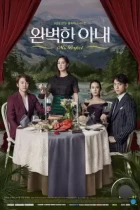 Идеальная жена / Wanbyeokhan anae (2017) L1 HDTV