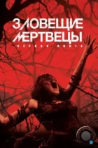 Зловещие мертвецы: Черная книга / Evil Dead (2013) BDRip