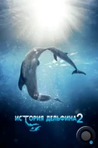 История дельфина 2 / Dolphin Tale 2 (2014) BDRip