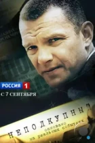 Неподкупный / Неподкупный (2015) WEB-DL