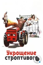Укрощение строптивого / Il Bisbetico Domato (1980) BDRip