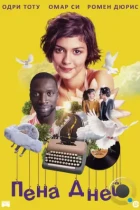 Пена дней / Mood Indigo (2013) BDRip