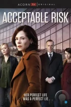 Допустимый риск / Acceptable Risk (2017) BDRip