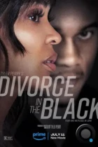 Удачный развод / Tyler Perry's Divorce in the Black (2024) WEB-DL