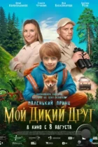 Мой дикий друг (2024) WEB-DL