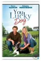 Везунчик / You Lucky Dog (2010) WEB-DL