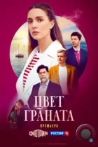 Цвет граната (2024) WEB-DL