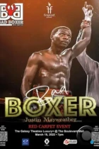 Плохой боксёр / The Bad Boxer (2022) WEB-DL