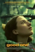 Хорошенькая / Good One (2024) WEB-DL