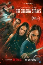 Блуждающая тень / The Shadow Strays (2024) WEB-DL