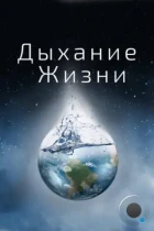 Дыхание жизни / Breath of Life (2014) BDRip