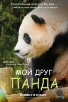 Мой друг панда / Annyeong, halbuji (2024) BDRip