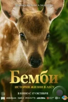 Бемби. История жизни в лесу / Bambi, l'histoire d'une vie dans les bois (2024) WEB-DL