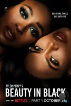 Красота в тёмных тонах / Beauty in Black (2024) WEB-DL