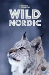 Дикая Скандинавия / Wild Nordic (2019) Дикая Скандинавия / Wild Nordic (2019)