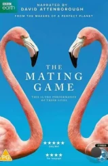 Брачная игра / The Mating Game (2021) Брачная игра / The Mating Game (2021)