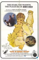 Круг чистой воды / Ring of Bright Water (1969) Круг чистой воды / Ring of Bright Water (1969)