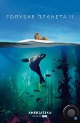 Голубая планета 2 / Blue Planet II (2017) Голубая планета 2 / Blue Planet II (2017)