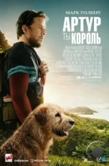 Артур, ты король / Arthur the King (2024) Артур, ты король / Arthur the King (2024)