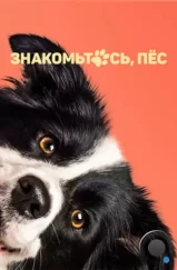 Знакомьтесь, пёс / Řekni to psem (2022) Знакомьтесь, пёс / Řekni to psem (2022)