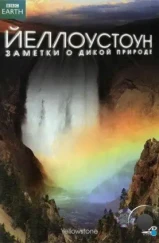 Йеллоустоун: Заметки о дикой природе / Yellowstone (2009) Йеллоустоун: Заметки о дикой природе / Yellowstone (2009)