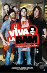 Вива ля Бэм / Viva la Bam (2003)