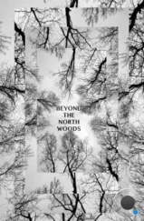 За Северным лесом / Beyond the North Woods (2022) За Северным лесом / Beyond the North Woods (2022)