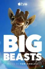 Великаны планеты / Big Beasts (2023) Великаны планеты / Big Beasts (2023)