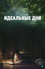 Идеальные дни / Perfect Days (2023) Идеальные дни / Perfect Days (2023)