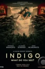 Индиго / Indigo (2023) Индиго / Indigo (2023)