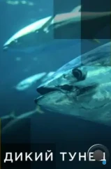 Дикий тунец / Wicked Tuna (2012) Дикий тунец / Wicked Tuna (2012)