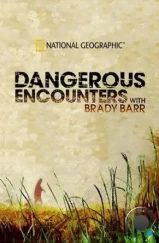 Опасные встречи / Dangerous Encounters (2005) Опасные встречи / Dangerous Encounters (2005)