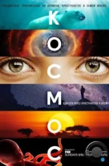 Космос: Пространство и время / Cosmos: A Spacetime Odyssey (2014) Космос: Пространство и время / Cosmos: A Spacetime Odyssey (2014)