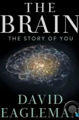 Мозг с Дэвидом Иглменом / The Brain with Dr. David Eagleman (2015) L1 Мозг с Дэвидом Иглменом / The Brain with Dr. David Eagleman (2015) L1