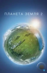 Планета Земля 2 / Planet Earth II (2016) Планета Земля 2 / Planet Earth II (2016)