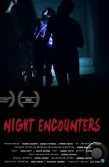 Ночные встречи / Night Encounters (2023) Ночные встречи / Night Encounters (2023)