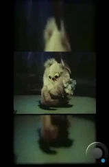 Филя (1986)