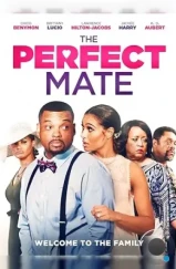 Идеальный партнёр / The Perfect Mate (2020) Идеальный партнёр / The Perfect Mate (2020)