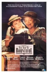 Поездка в Баунтифул / The Trip to Bountiful (1985) Поездка в Баунтифул / The Trip to Bountiful (1985)