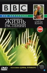 BBC: Невидимая жизнь растений / The Private Life of Plants (1995) BBC: Невидимая жизнь растений / The Private Life of Plants (1995)
