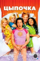 Цыпочка / The Hot Chick (2002) Цыпочка / The Hot Chick (2002)