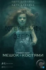 Мешок с костями / Bag of Bones (2011)