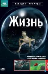 BBC: Жизнь / Life (2009) BBC: Жизнь / Life (2009)