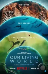 Наш живой мир / Our Living World (2024) Наш живой мир / Our Living World (2024)