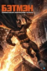 Темный рыцарь: Возрождение легенды. Часть 2 / Batman: The Dark Knight Returns, Part 2 (2013) Темный рыцарь: Возрождение легенды. Часть 2 / Batman: The Dark Knight Returns, Part 2 (2013)