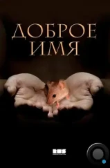 Доброе имя (2014) Доброе имя (2014)