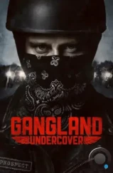 Под прикрытием / Gangland Undercover (2015) Под прикрытием / Gangland Undercover (2015)