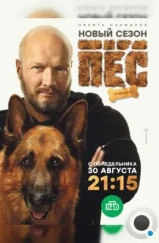 Пёс (2015) Пёс (2015)