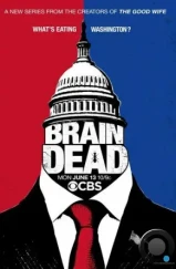Безмозглые / BrainDead (2016) Безмозглые / BrainDead (2016)